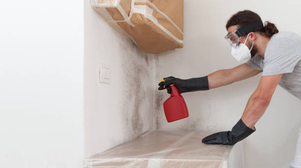 Professional Crawl Space Mold Removal technician working in Greenville, NY